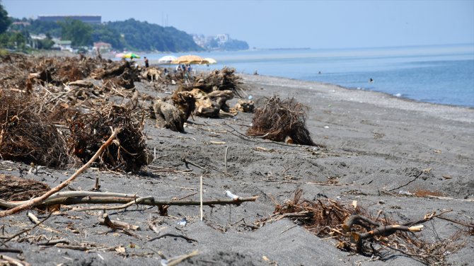 Akçakoca sahilleri selin taşıdığı ağaç parçalarıyla doldu