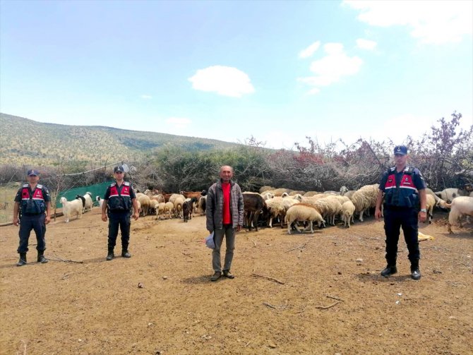 Aksaray'da jandarma ekipleri kayıp koyunları dronla buldu