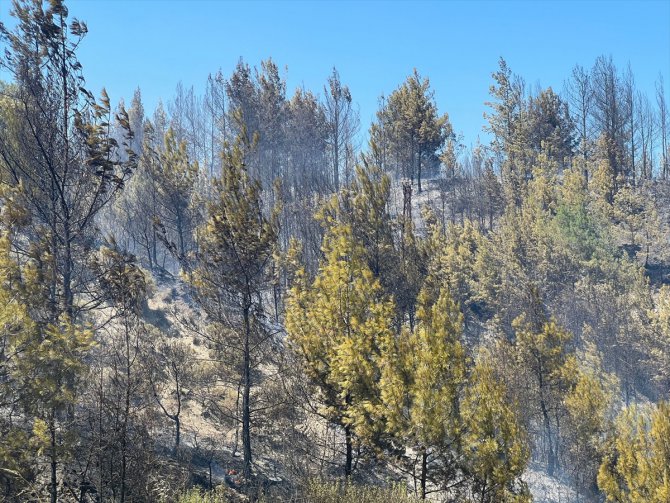 GÜNCELLEME - Antalya'da ormanlık alanda başlayan yangın kontrol altına alındı