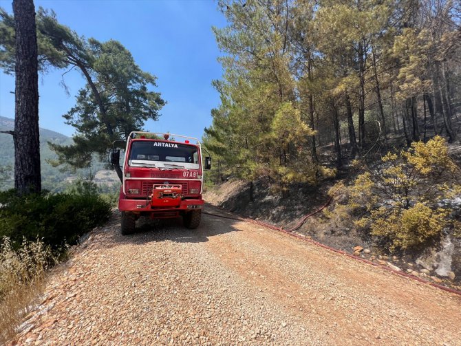 Antalya'da ormanlık alanda başlayan yangına müdahale ediliyor