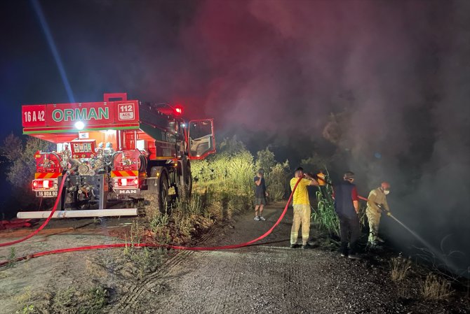 GÜNCELLEME - Bursa'da çıkan orman yangını kontrol altına alındı