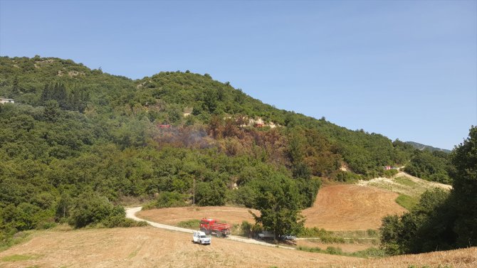 GÜNCELLEME - Osmaniye'de çıkan orman yangını kontrol altına alındı