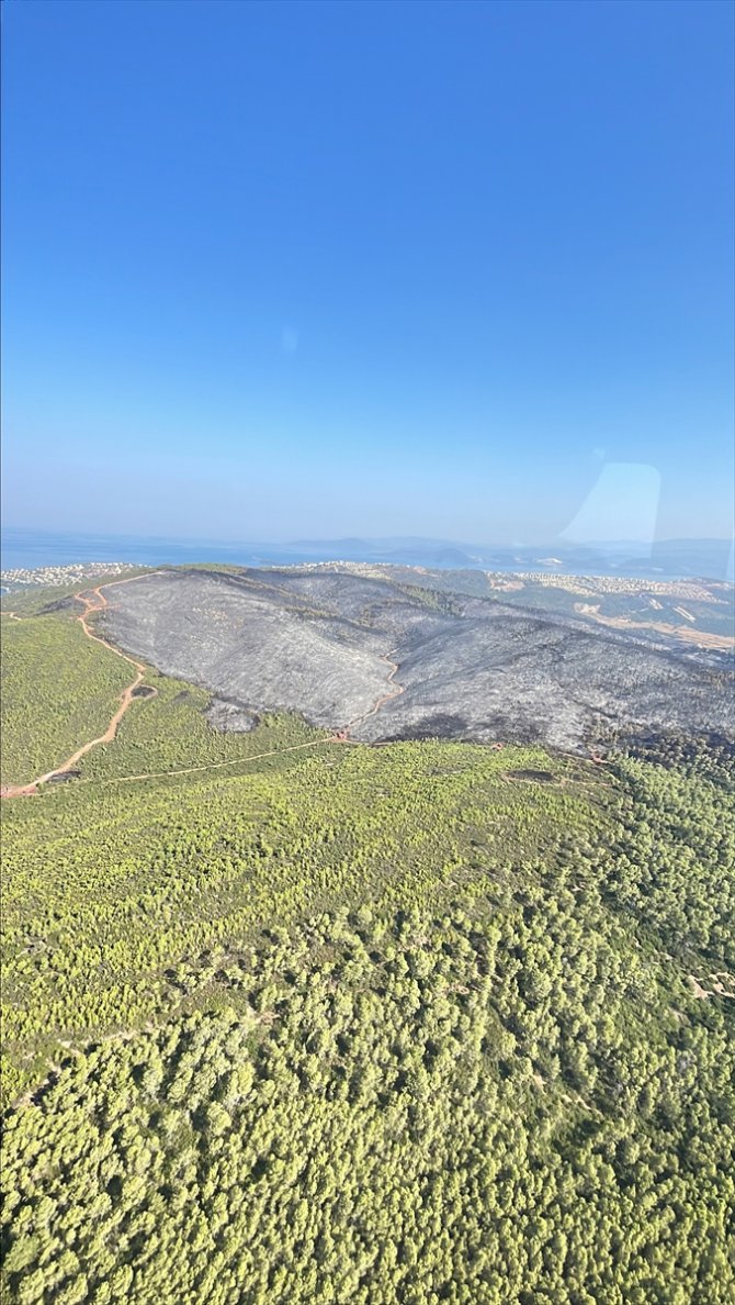 Tarım ve Orman Bakan Yardımcısı Tiryaki, Muğla'da yanan alanları havadan inceledi: