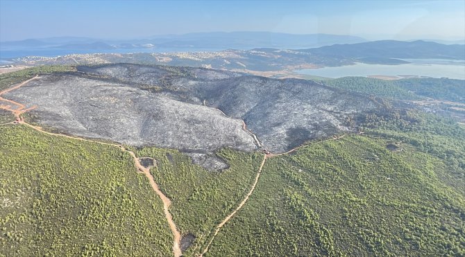 Tarım ve Orman Bakan Yardımcısı Tiryaki, Muğla'da yanan alanları havadan inceledi: