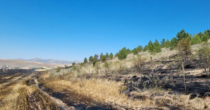 Aksaray'daki anız yangını ormanlık alana zarar verdi