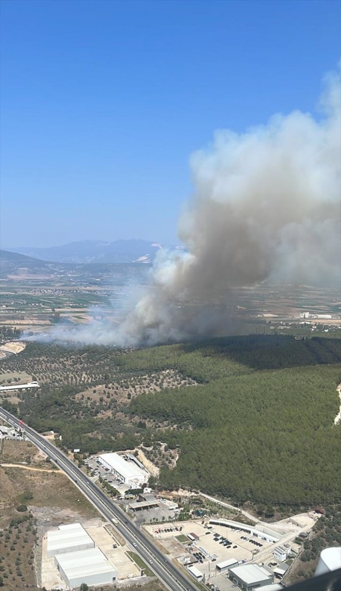 GÜNCELLEME - Milas-Bodrum Havalimanı yolunda ormanlık alanda çıkan yangına müdahale ediliyor