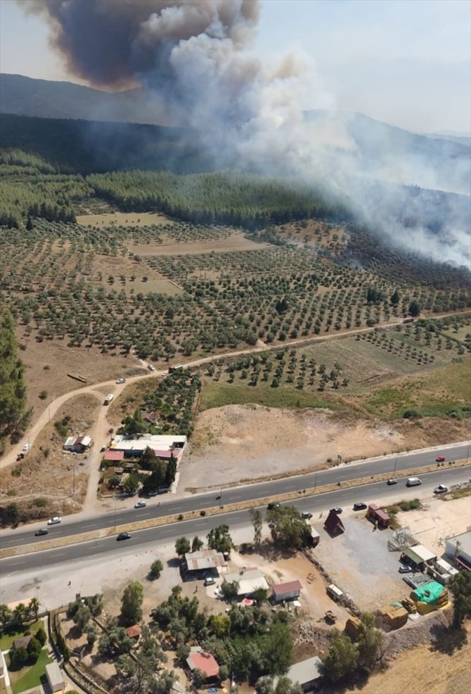 GÜNCELLEME - Milas-Bodrum Havalimanı yolunda ormanlık alanda çıkan yangına müdahale ediliyor
