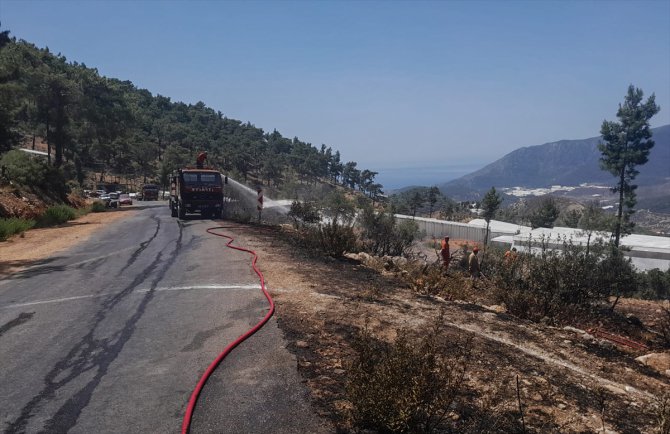 Mersin'de çıkan orman yangınına ekiplerce müdahale ediliyor