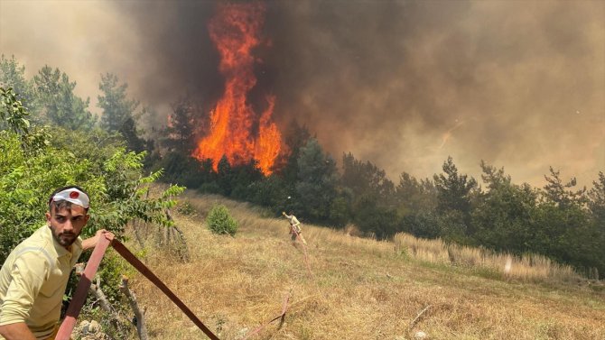 Osmaniye'de orman yangını çıktı