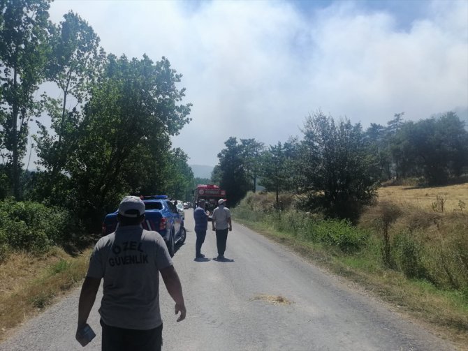 GÜNCELLEME - Bolu'da çıkan orman yangını kontrol altına alındı