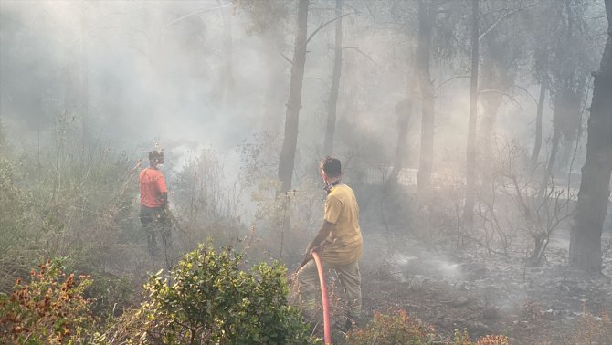 GÜNCELLEME 3 - Hatay Belen'de çıkan orman yangınına ekiplerce müdahale ediliyor