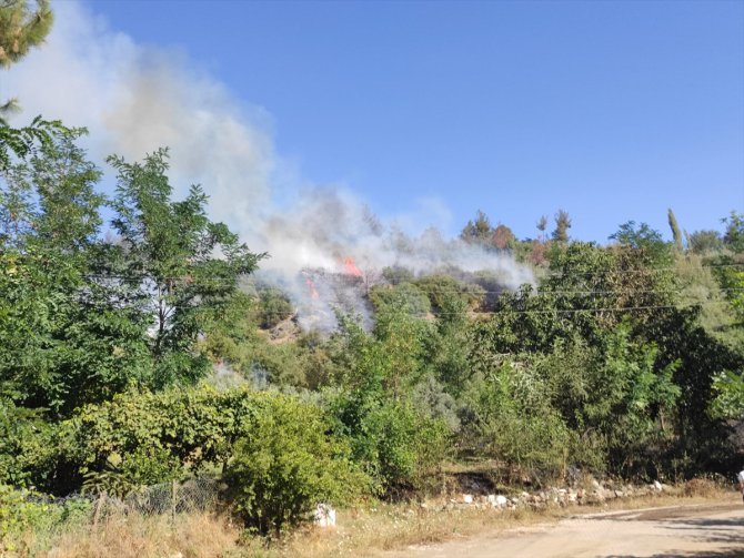 GÜNCELLEME - Osmaniye Düziçi'nde çıkan orman yangını kontrol altına alındı