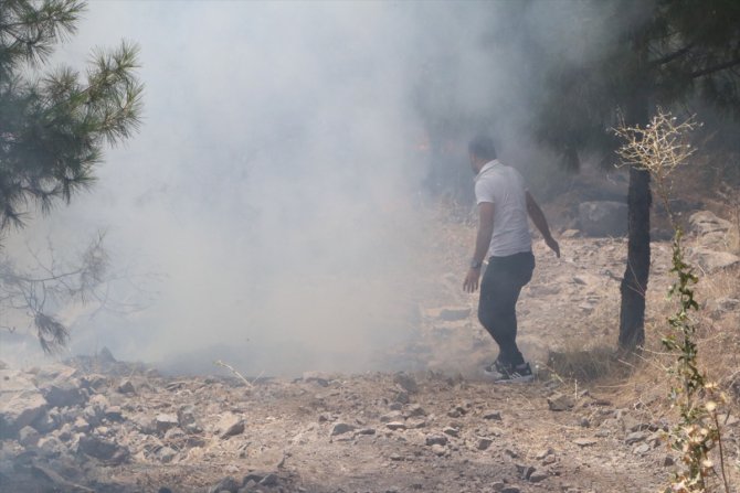 GÜNCELLEME - Şanlıurfa'da çıkan orman yangını söndüldü