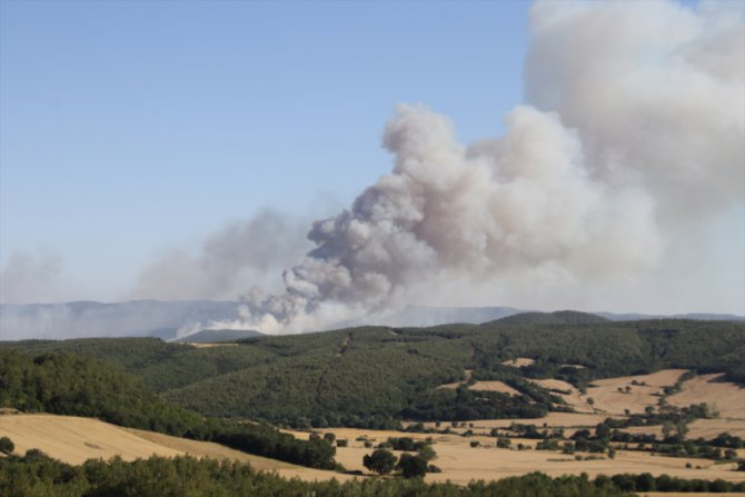 Tekirdağ'ın Malkara ilçesinde orman yangını