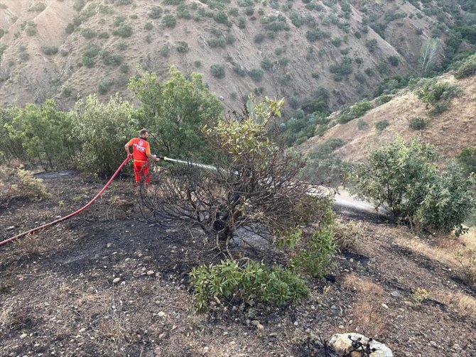 Bingöl'de iki ayrı ağaçlık alan çıkan yangınlarda hasar gördü
