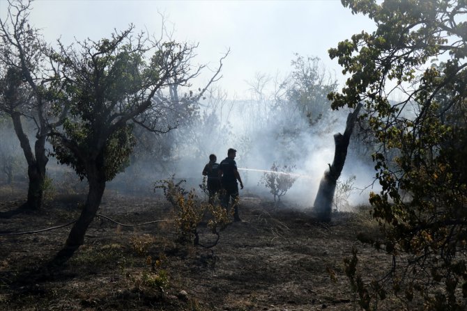 Kayseri'de çalılık yangını söndürüldü