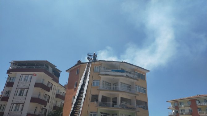 Malatya'da yangın çıkan çatıdaki güvercinler kurtarıldı