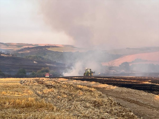 Tekirdağ'da 40 dönüm buğday ekili alan yandı