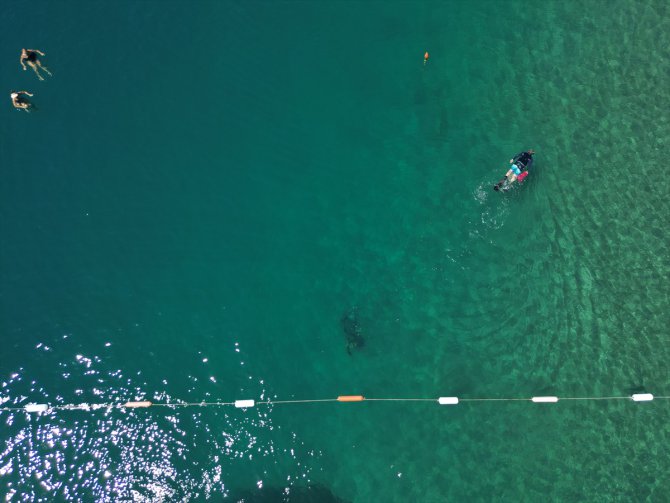 Bodrum'da dalgıçlar deniz dibinden 200 kilogram atık çıkardı