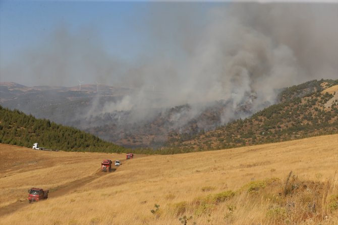 GÜNCELLEME - Gaziantep'te çıkan orman yangınına havadan ve karadan müdahale ediliyor