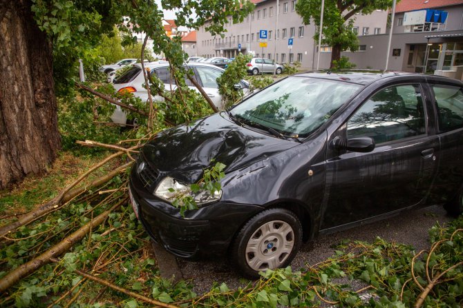 Hırvatistan'da şiddetli rüzgar ve yağmurda devrilen ağaçlar nedeniyle 2 kişi yaşamını yitirdi