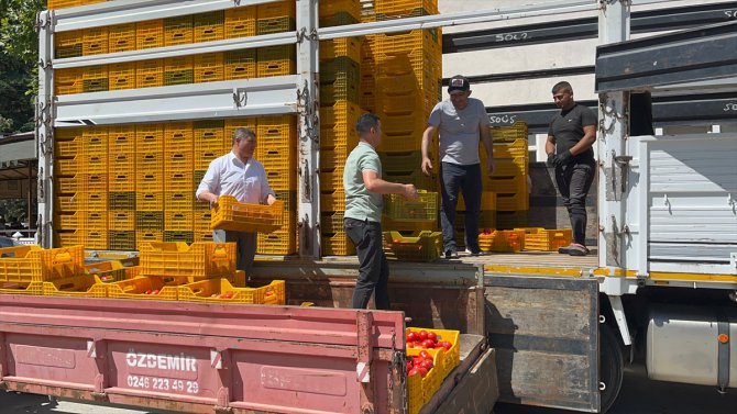 Isparta'da yetiştirilen domatesler Orta Doğu ve Avrupa'ya satılıyor