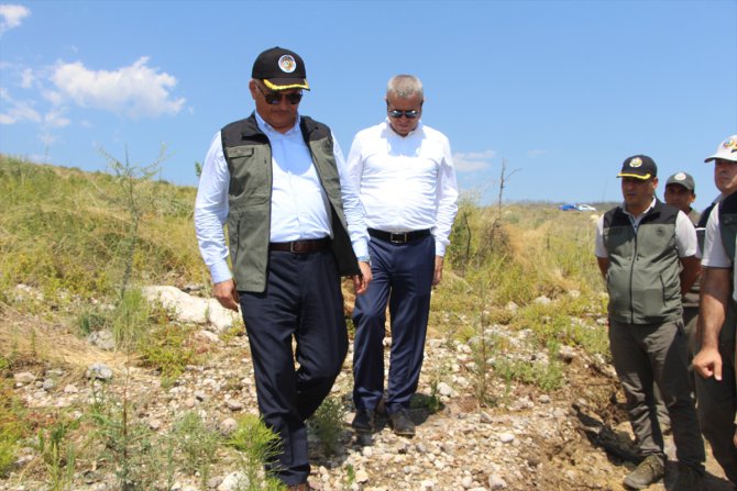 Antalya Valisi Yazıcı, Manavgat'ta yeşeren ormanlık alanda incelemede bulundu