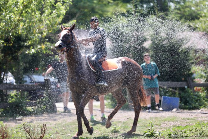 Düzce'de sıcaktan etkilenen atlar yıkanarak serinletildi