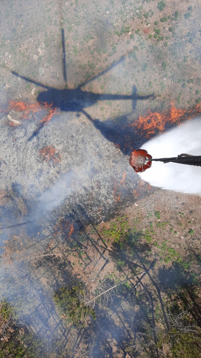 GÜNCELLEME - Muğla'da çıkan orman yangını kontrol altına alındı