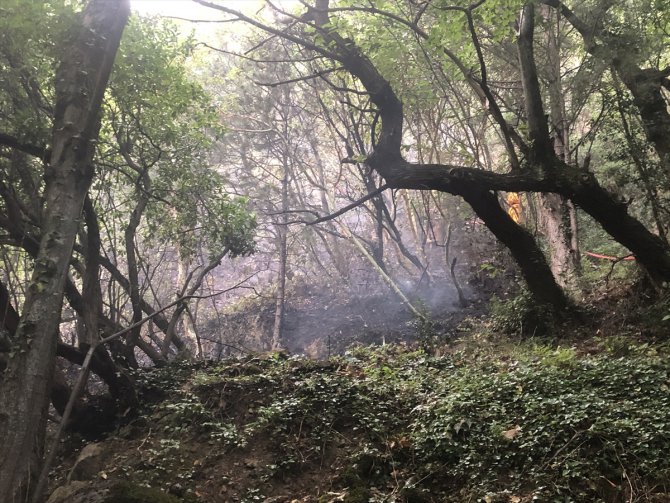 GÜNCELLEME - Uludağ'ın eteklerinde çıkan orman yangını kontrol altına alındı