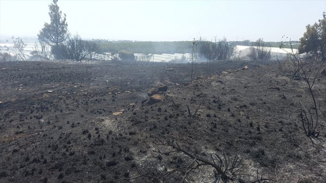 Alanya'da çalılık ile tarım arazisinde çıkan yangın kontrol altına alındı