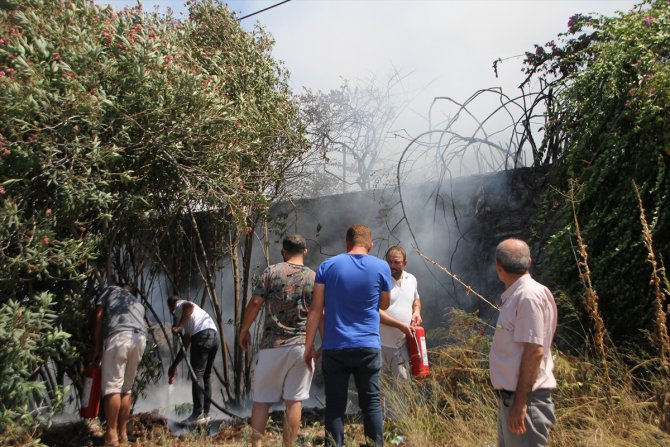 Antalya'da ağaçlık alanda çıkan yangın söndürüldü