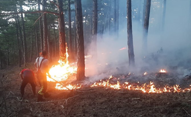 Denizli'de çıkan orman yangını kontrol altına alındı