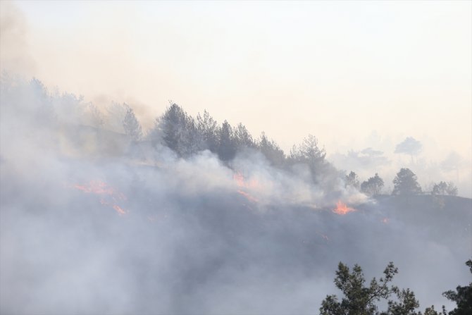 GÜNCELLEME 2 - Kahramanmaraş'ta çıkan orman yangınına müdahale ediliyor