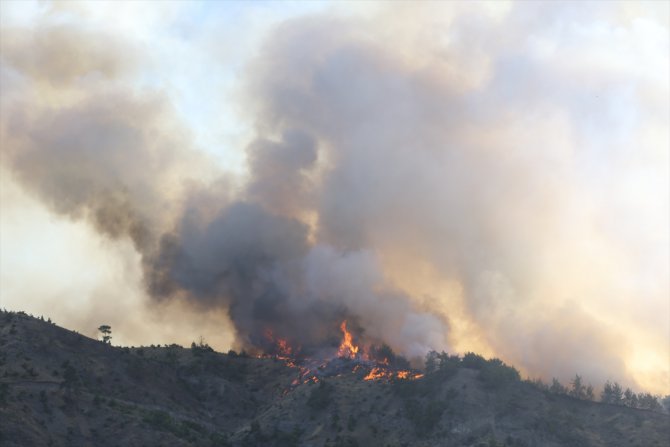 GÜNCELLEME - Kahramanmaraş'ta çıkan orman yangınına müdahale ediliyor