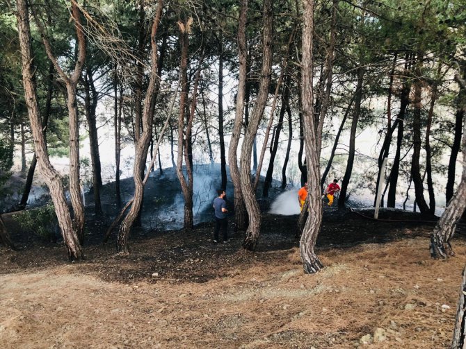 Adana'da mesire alanında çıkan yangın söndürüldü