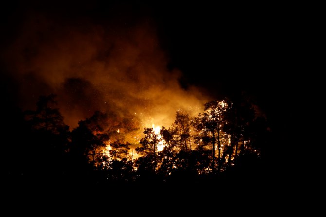 GÜNCELLEME 3- Antalya'nın Kemer ilçesinde orman yangını çıktı