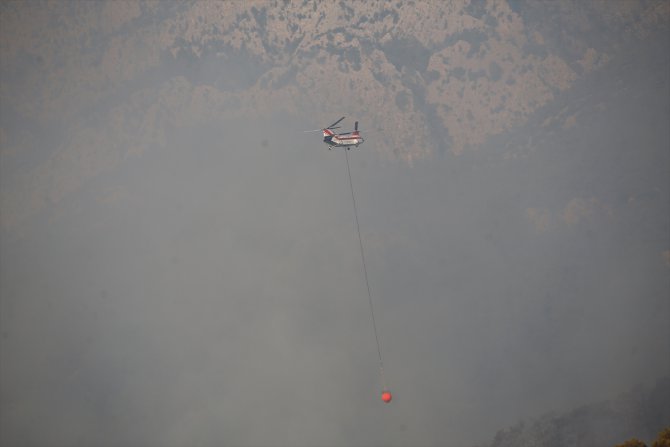 Başkan Böcek Antalya'daki orman yangınına ilişkin açıklamada bulundu: