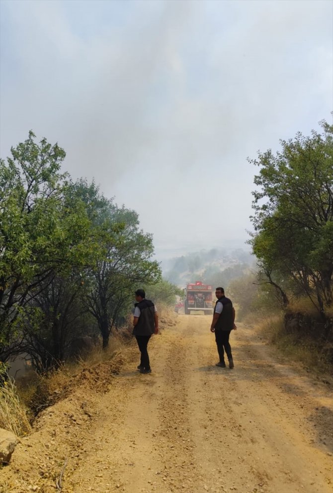 GÜNCELLEME - Afyonkarahisar'da ağaçlık alanda çıkan yangın söndürüldü