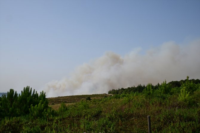 GÜNCELLEME - Beykoz'da ormanlık alanda yangın çıktı