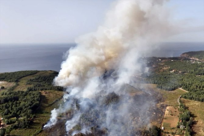 GÜNCELLEME 2 - Beykoz'da ormanlık alanda çıkan yangına itfaiyenin müdahalesi sürüyor