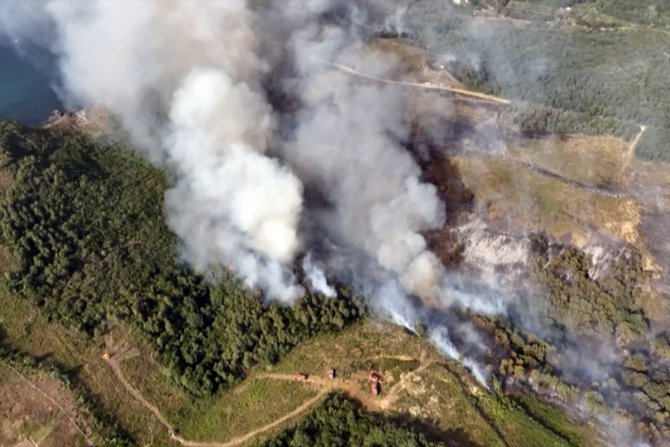 GÜNCELLEME 2 - Beykoz'da ormanlık alanda çıkan yangına itfaiyenin müdahalesi sürüyor