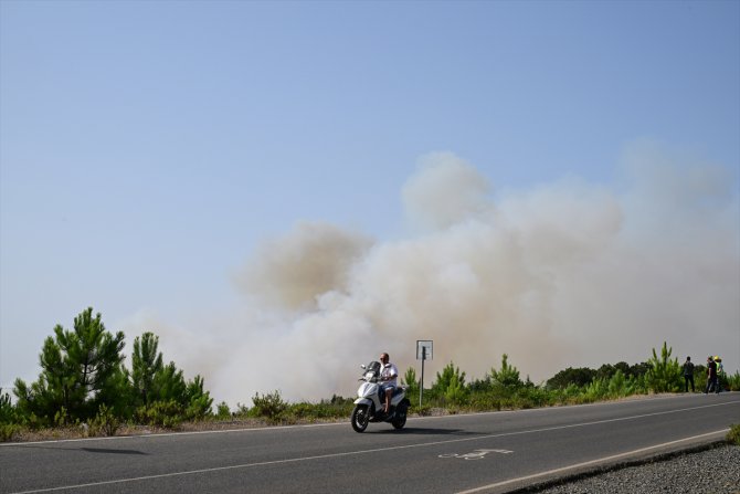 GÜNCELLEME - Beykoz'da ormanlık alanda yangın çıktı