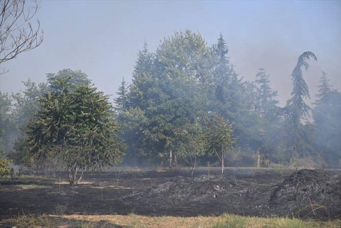 Edirne'de ağaçlık alanda çıkan yangın söndürüldü