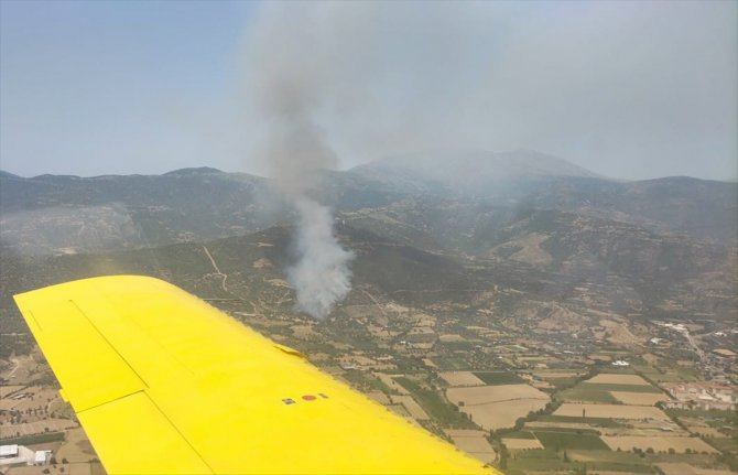 İzmir'de orman ve makilik alanlarda çıkan yangınlara müdahale ediliyor
