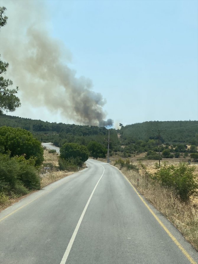 İzmir'de orman ve makilik alanlarda çıkan yangınlara müdahale ediliyor