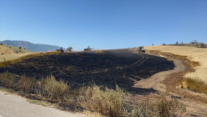Sivas'ta tarla yangınında 30 dönüm ekili buğday zarar gördü