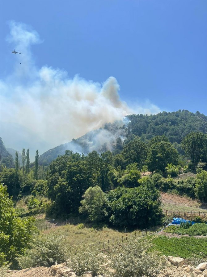 GÜNCELLEME - Balıkesir İvrindi'de çıkan orman yangını kontrol altına alındı