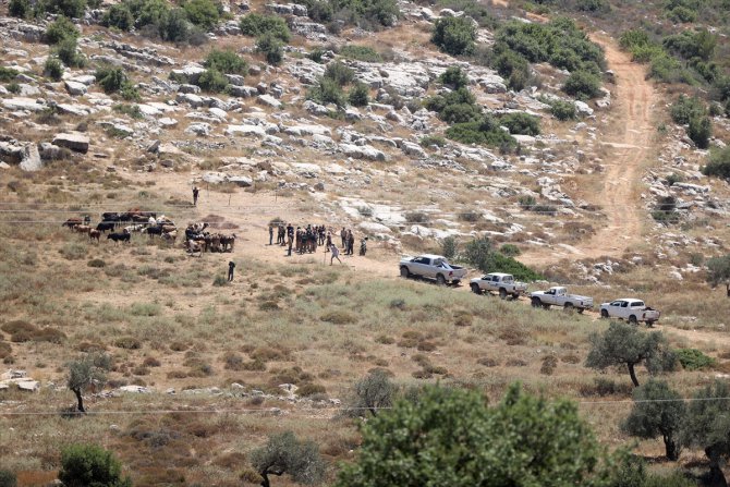 Batı Şeria kırsalındaki Yahudi yerleşimleri, Filistinli çiftçilere hayatı çekilmez kılıyor