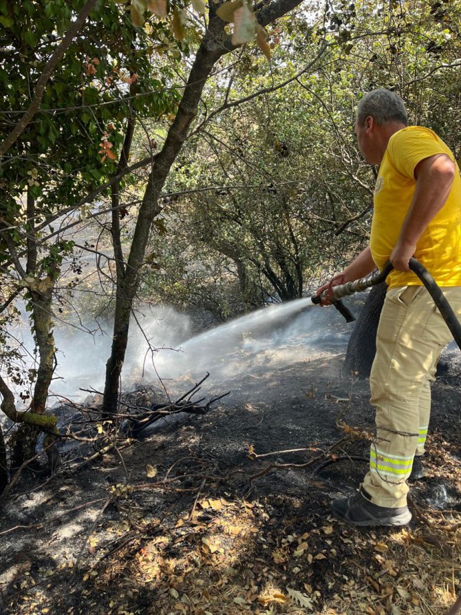 GÜNCELLEME 3 - Çanakkale'deki orman yangını kontrol altına alındı